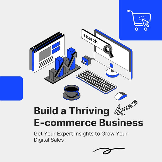 E-commerce Business Consultation